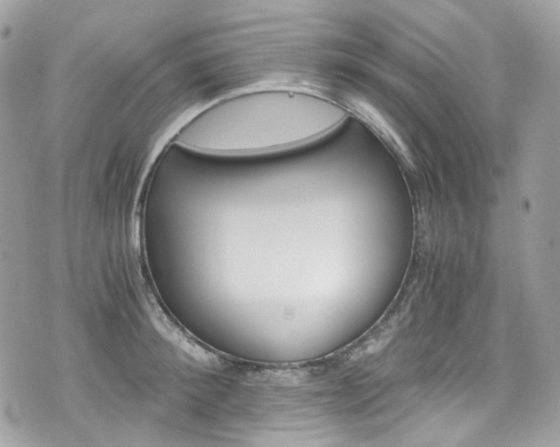 X0000076350900200609290927