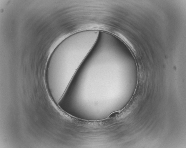 X0000076350901200609290927