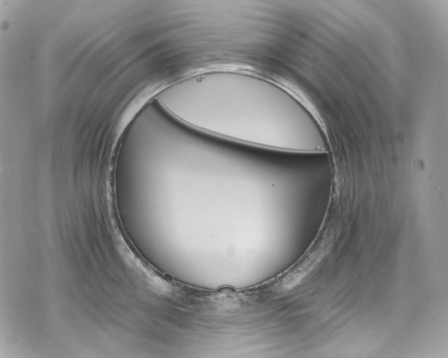 X0000076350906200609290927