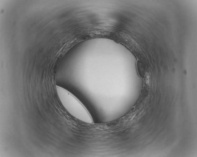 X0000076350915200609290926