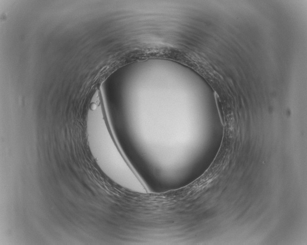 X0000076350916200609290926