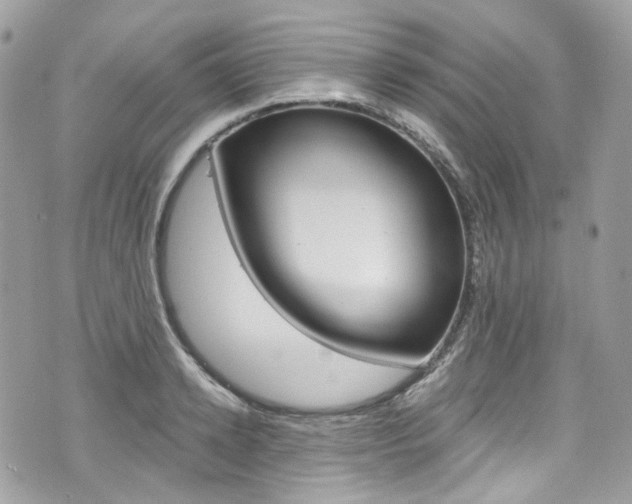 X0000076350942200609290926