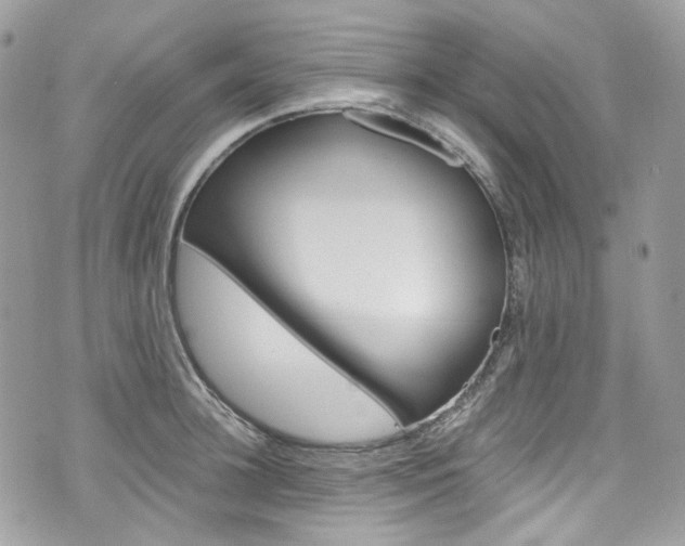 X0000076350948200609290927