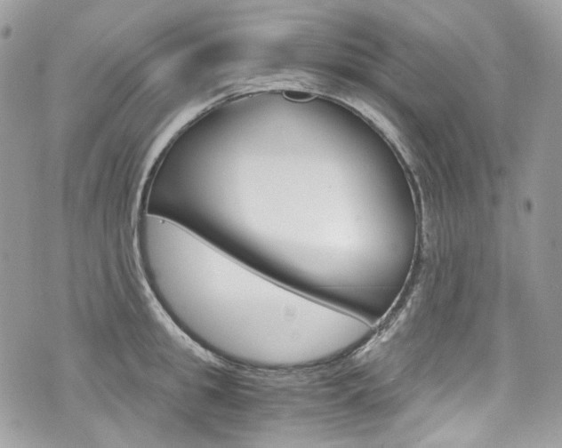 X0000076350949200609290927
