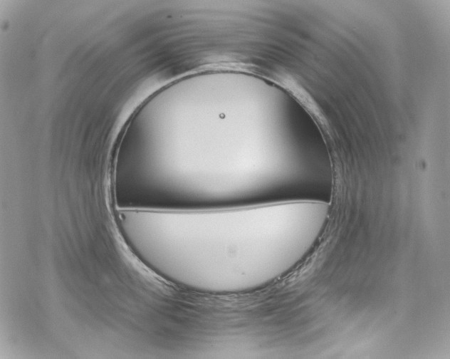 X0000076350955200609290927
