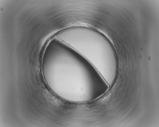 X0000076350979200609290926