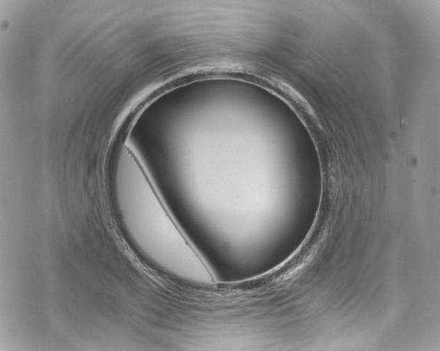X0000076350981200609290926