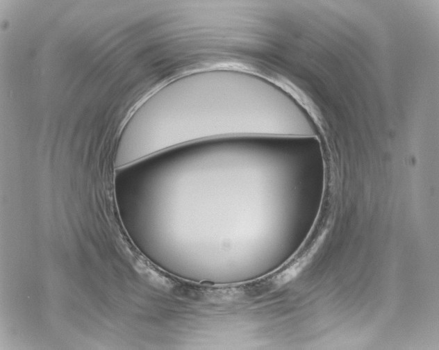 X0000076351001200609290925