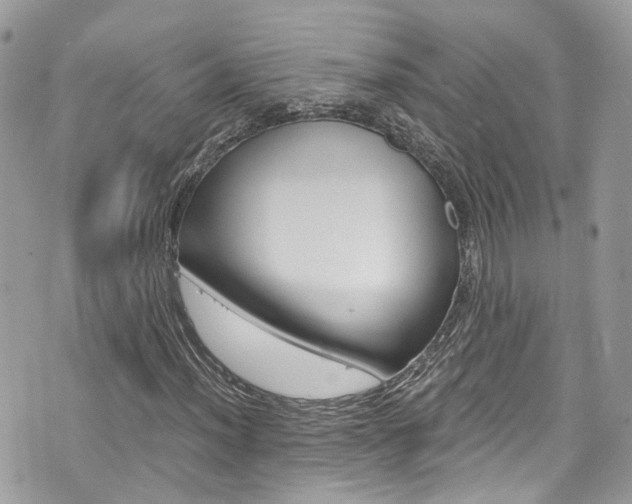 X0000076351012200609290924
