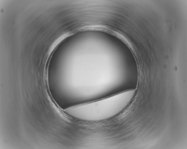 X0000076351050200609290925