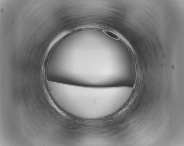 X0000076351053200609290925