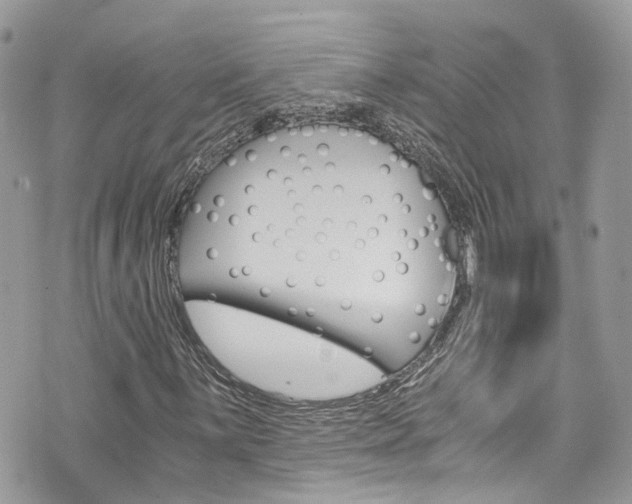 X0000076351059200609290924