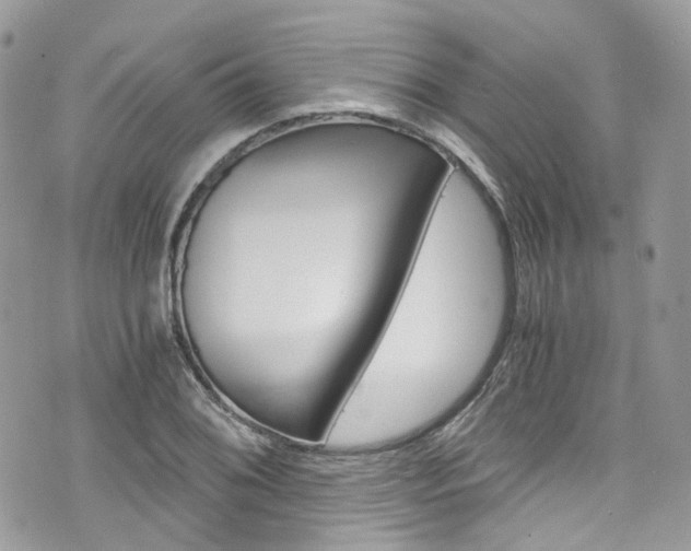 X0000076351076200609290924