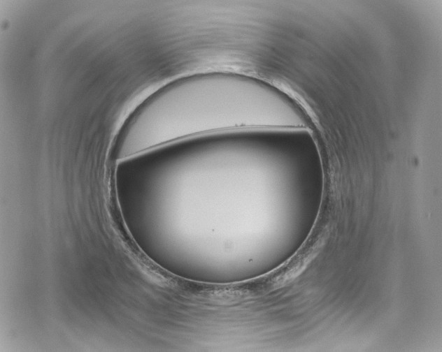 X0000076351077200609290924