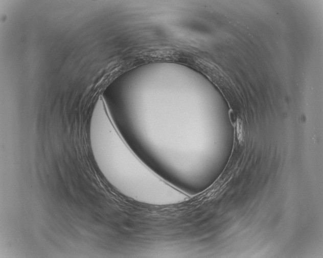 X0000076351107200609290923