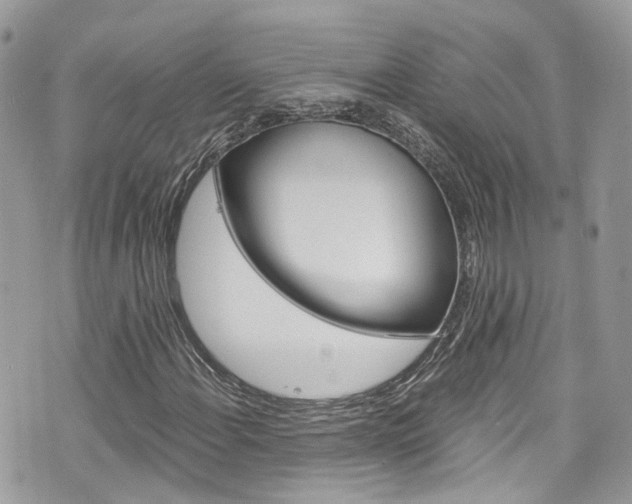 X0000076351108200609290923