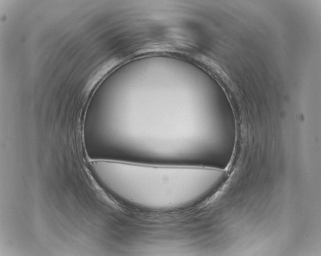 X0000076351129200609290923
