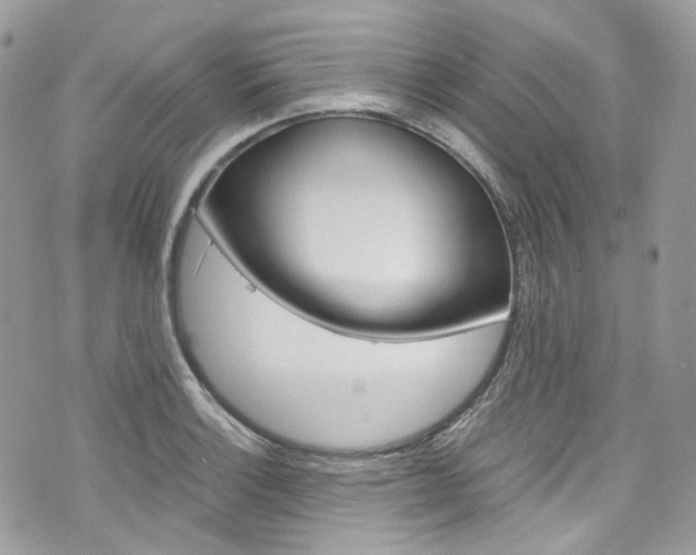 X0000076351132200609290923