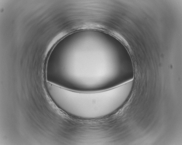 X0000076351138200609290923
