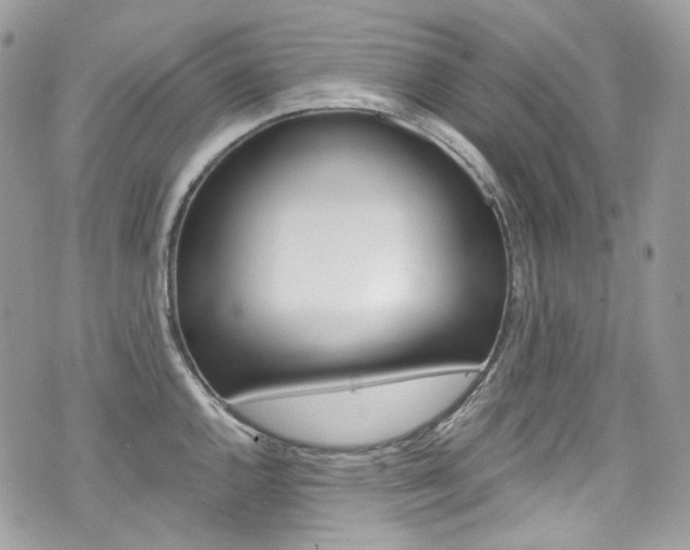 X0000076351144200609290923