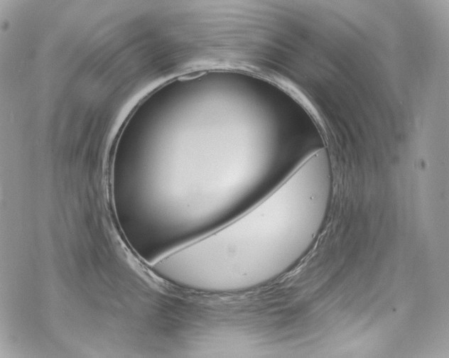 X0000076351148200609290924