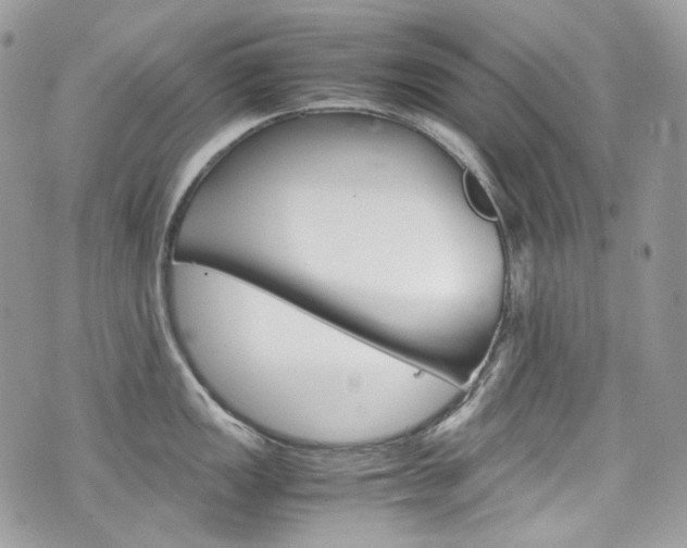 X0000076351149200609290924