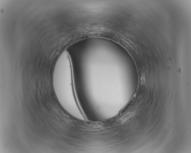 X0000076351156200609290923