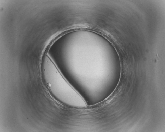X0000076351168200609290923