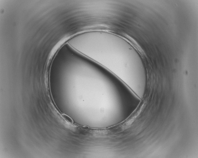 X0000076351196200609290922
