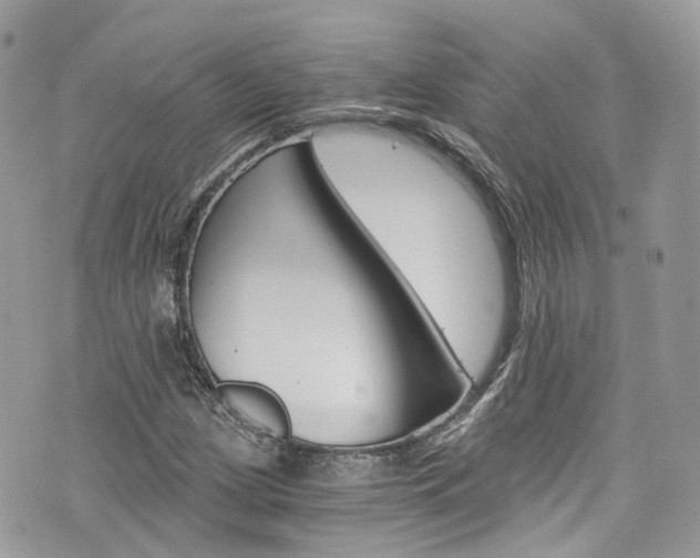 X0000076351209200609290921