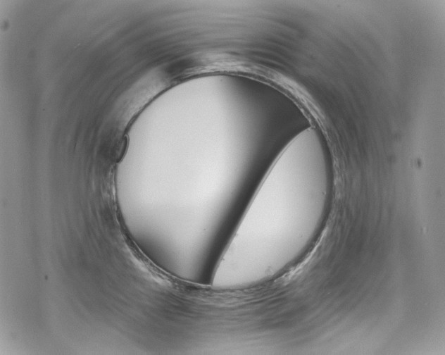 X0000076351241200609290922
