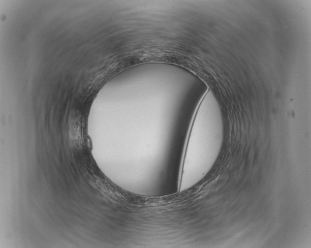 X0000076351250200609290921