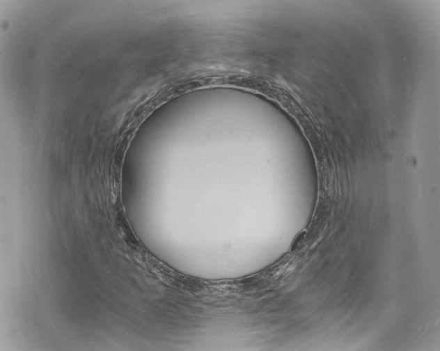 X0000076351253200609290921