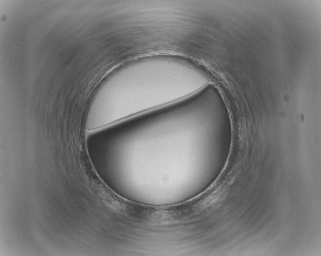 X0000076351265200609290921