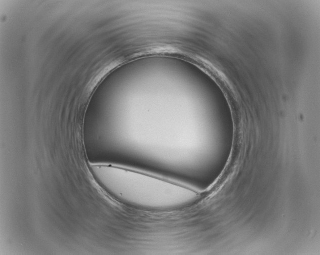 X0000076351281200609290921