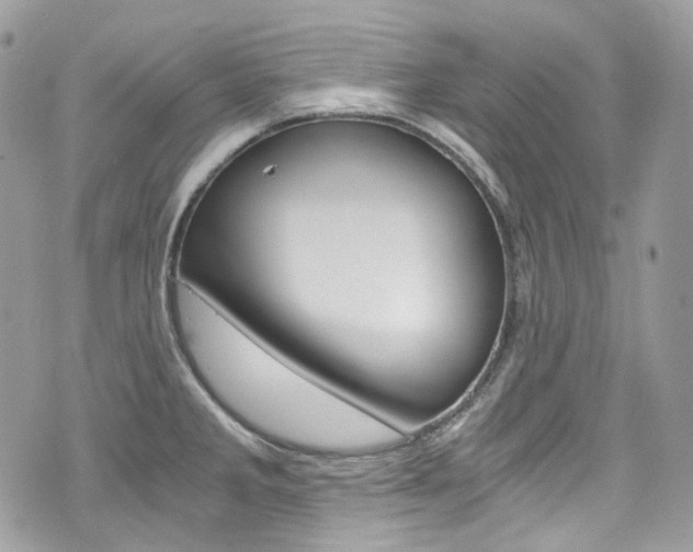 X0000076351285200609290921