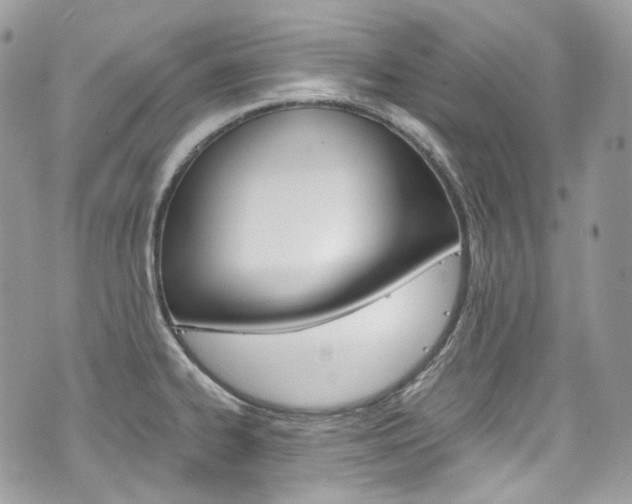 X0000076351334200609290920