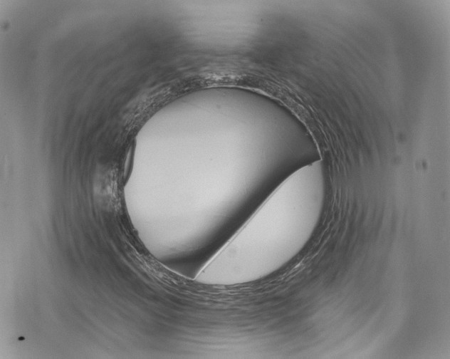 X0000076351396200609290918