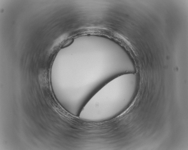 X0000076351403200609290918