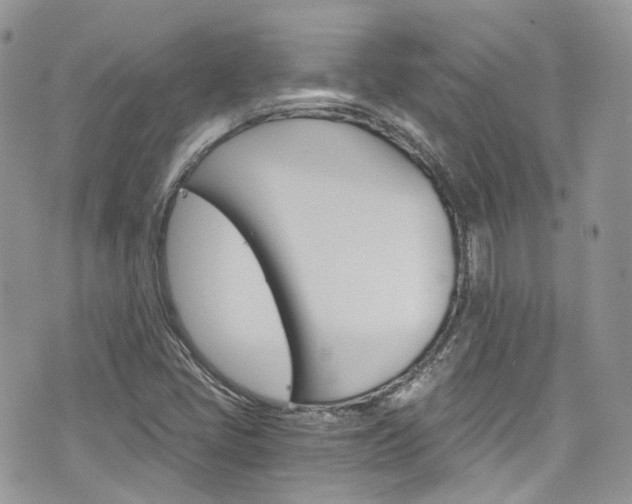 X0000076351405200609290918