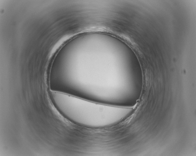 X0000076351422200609290919