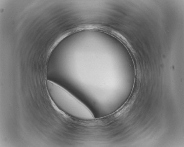 X0000076351433200609290919