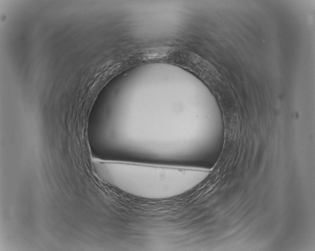 X0000076351441200609290918