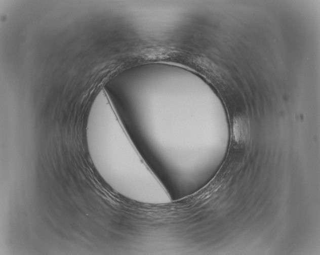 X0000076351444200609290918