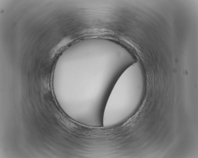 X0000076351451200609290918