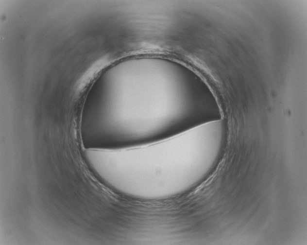 X0000076351455200609290918