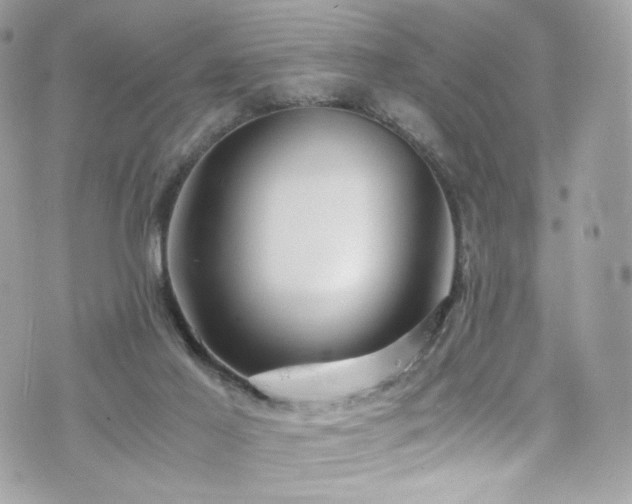 X0000076350021200609291208