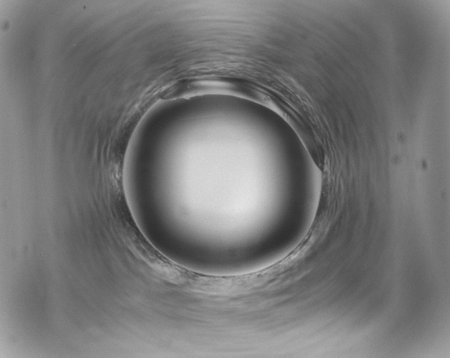 X0000076350045200609291208