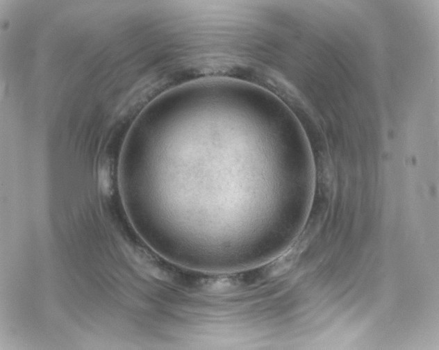 X0000076350074200609291207