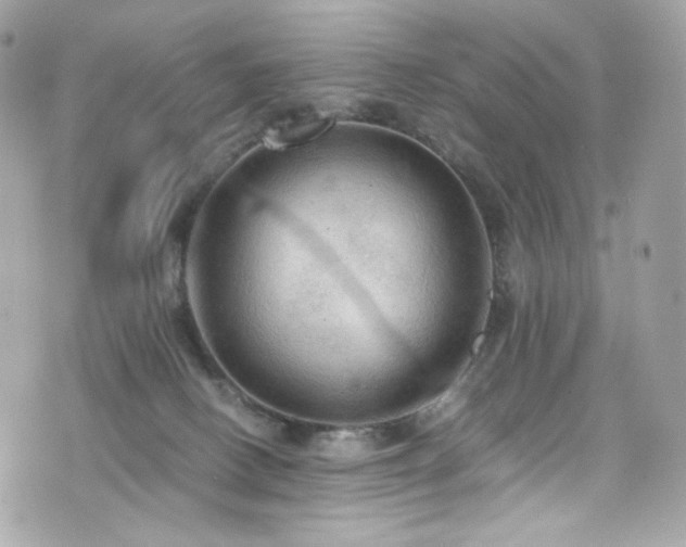 X0000076350082200609291207